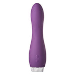 Flirts G Spot Vibrator Purple