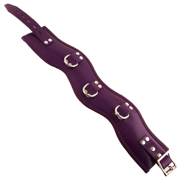 KinkyDiva Rouge Garments Purple Padded Posture Collar £35